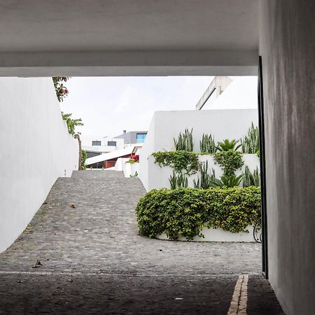 Sao Miguel Charming House By Lfc Apts Ponta Delgada Zewnętrze zdjęcie